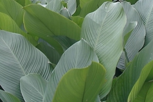 20140405-001512.jpg
